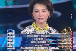 娱乐爆料董卿视频播放时间,揭秘幕后精彩瞬间，播放时长引发热议